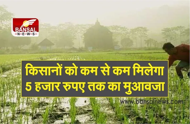 MP Cabinet Meeting :सरकार ने लिया बड़ा फैसला, किसानों को कम से कम मिलेगा 5 हजार रुपए तक का मुआवजा