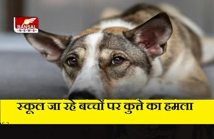 UP News: रेबीज से संक्रमित कुत्ते का स्कूली बच्चों पर हमला, 10 को काटा, सभी अस्पताल में भर्ती