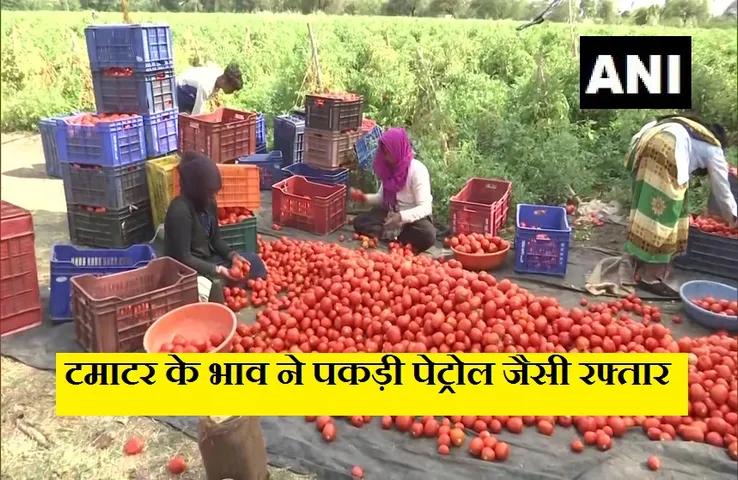 Tomato Price Hike: आसमान छूते टमाटर के दाम, अभी और बढ़ सकती हैं कीमतें!