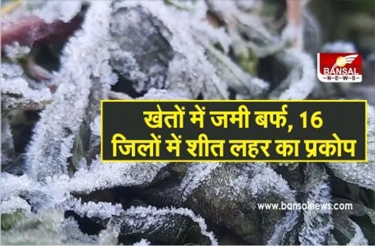शीत लहर के प्रकोप में प्रदेश में 16 जिले, रायसेन में खेतों में जमी बर्फ