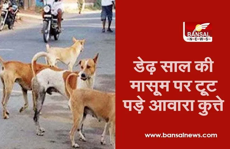 घर के बाहर खेल रही थी डेढ़ साल की मासूम, कुत्तों के झुंड ने नोंच-नोंचकर मारकर डाला