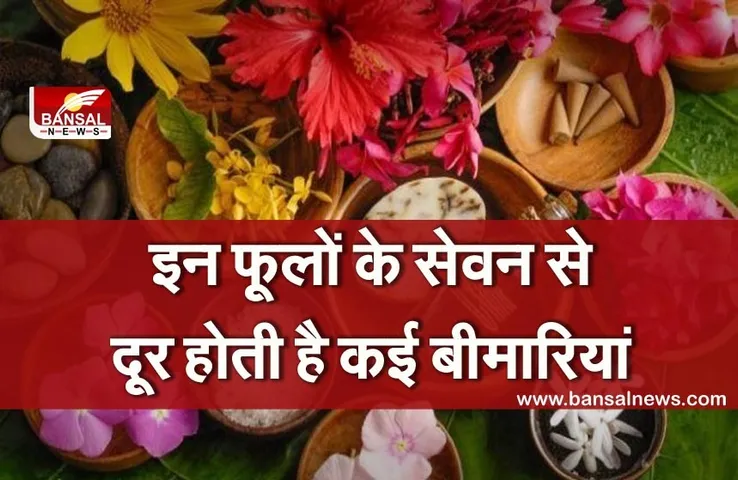 काफी सेहतमंद होते हैं ये फूल, इनके सेवन से दूर होती है कई बीमारियां