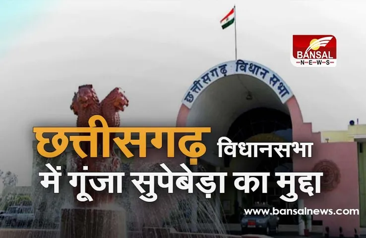 छत्तीसगढ़ विधानसभा में गूंजा सुपेबेड़ा का मुद्दा, खराब पानी से मौत के मामले में PHE मंत्री से पूछे सवाल
