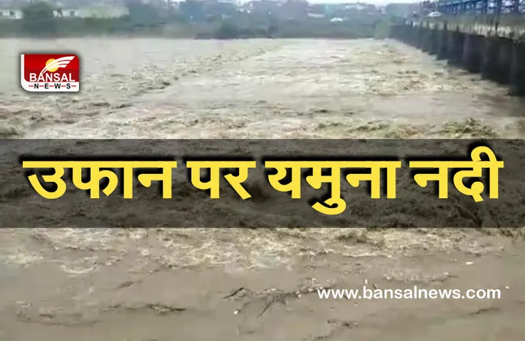 Rain In Delhi : खतरे के निशान के करीब पहुचा यमुना नदी का जल स्तर
