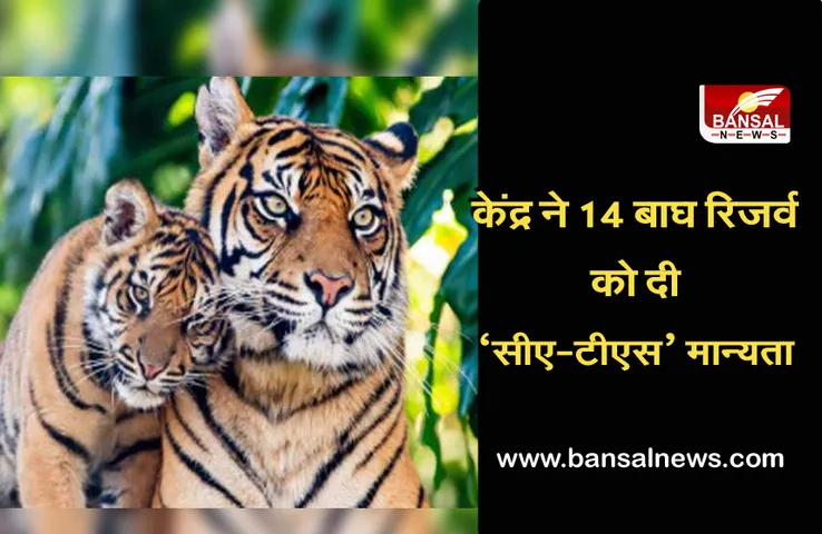 International Tiger Day: अंतरराष्ट्रीय बाघ दिवस के अवसर पर देश के 14 बाघ रिजर्व को ‘सीए-टीएस’मान्यता