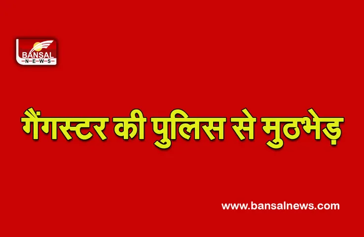 Delhi : गैगेस्टर को  पुलिस से मुठभेड़ के बाद गिरफ्तार कर लिया , उसके पास से भारी मात्रा में हथियार जब्त किये : पुलिस