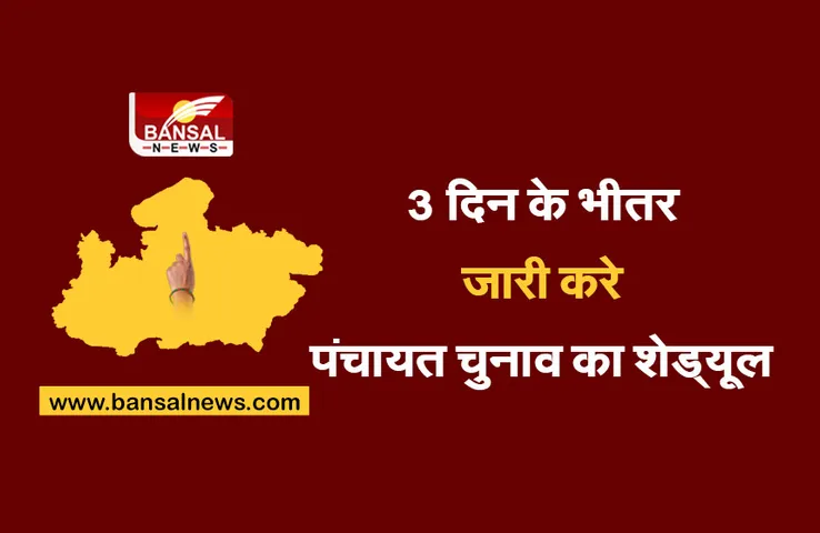 Breaking News: शिवराज सरकार को हाईकोर्ट ने लगाई फटकार! 3 दिन में चुनाव का शेड्यूल जारी करने के दिए आदेश
