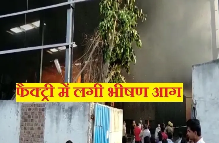 Fire In Factory: पीथमपुर की गत्ता फैक्ट्री में लगी भीषण आग, 5 दमकल गाड़ियां मशक्कत में जुटी, मचा हड़कंप