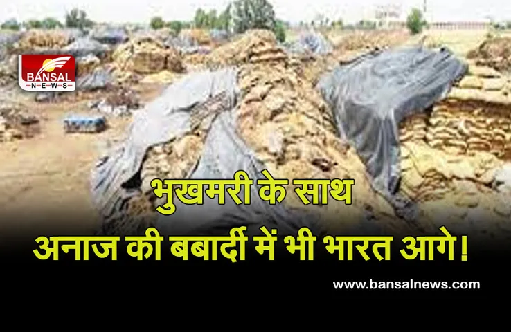 Anaj Barbadi: नहीं रुक रही अनाज की बर्बादी, एक साल में नष्ट हो गया 319.36 टन अनाज