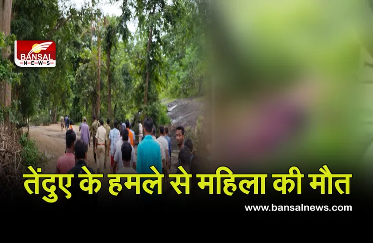 Breaking News: जंगल से लकड़ियां लेने गई महिला पर तेंदुए ने किया हमला, मौत, खून से लथपथ मिला शव