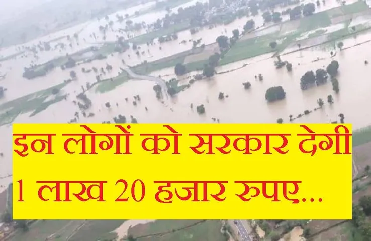 Flood In MP: प्रदेश में भीषण बाढ़ ने मचाई जमकर तबाही, 189 छोटे और 7 बड़े पुल क्षतिग्रस्त, 207 करोड़ के नुकसान का अनुमान