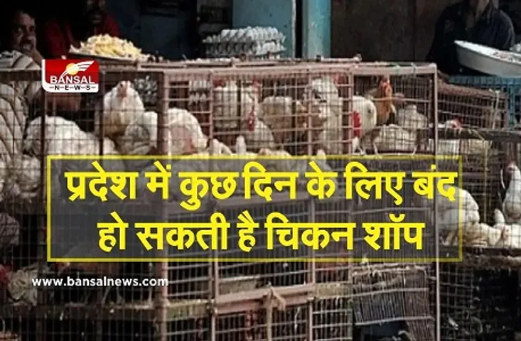 Madhya Pradesh bird flu : बढ़ते बर्ड फ्लू को लेकर MP सरकार का बड़ा फैसला, बंद हो सकती है चिकन शॉप