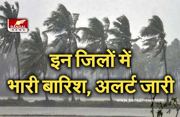 Rain In MP: इन जिलों में बरसेगा बादलों का कहर! मौसम विभाग ने जारी किया येलो अलर्ट