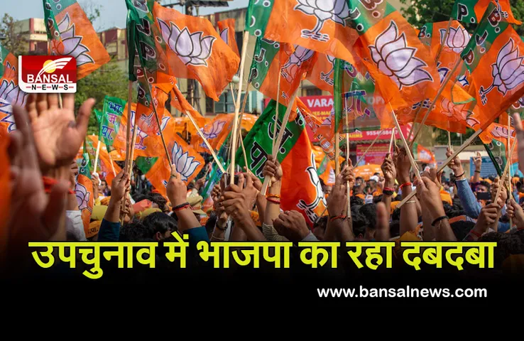 MP By Election Result: पृथ्वीपुर की जनता ने भाजपा को जिताया, रैगांव में कांग्रेस ने मारी बाजी