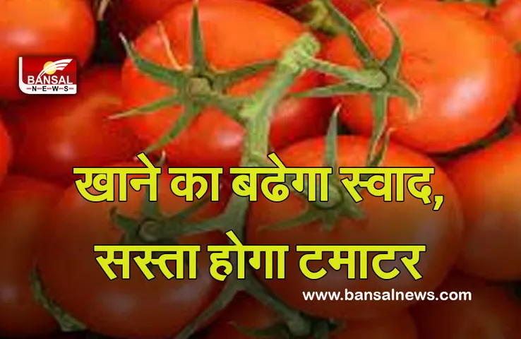Tomato Price: टमाटर के जल्द गिरेंगे दाम! नई फसल के आने से होगा फायदा