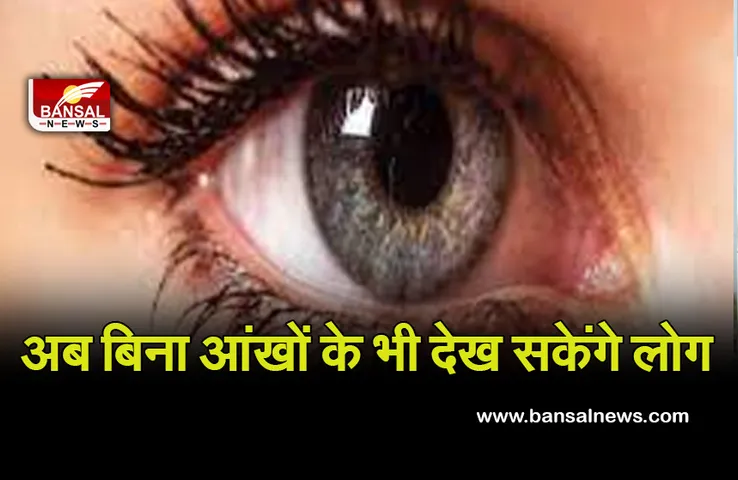 Blind Patients : खुशखबरी! दिमाग में चिप, चश्में में रेटिना, बिना आंखों के दिखेगी दुनिया