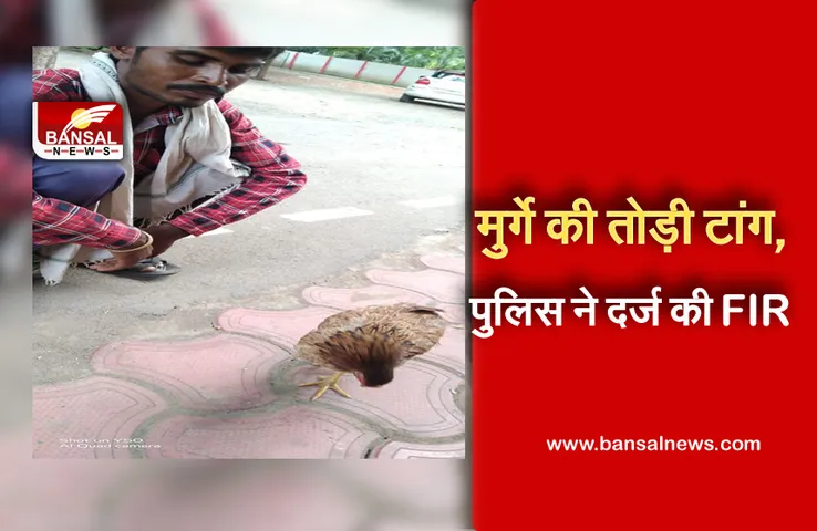 Khargone News : एमपी में अजब गजब केस दर्ज: युवक ने पत्थर मार कर तोड़ी मुर्गे की टांग, पुलिस ने दर्ज की ​FIR