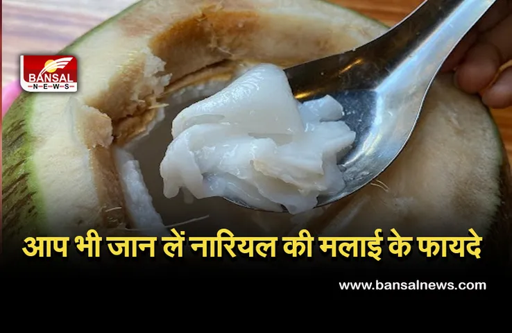 Coconut Malai Benefits : नारियल की मलाई के भी हैं अपने फायदे