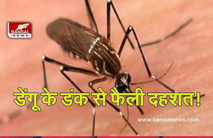 Dengue Outbreak: कोरोना के बाद प्रदेश में डेंगू का कहर! इन जिलों में सबसे ज्यादा खतरा