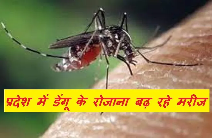 dengue in MP: प्रदेश में डेंगू का बरसा कहर, अब तक सामने आए 2400 से अधिक मामले