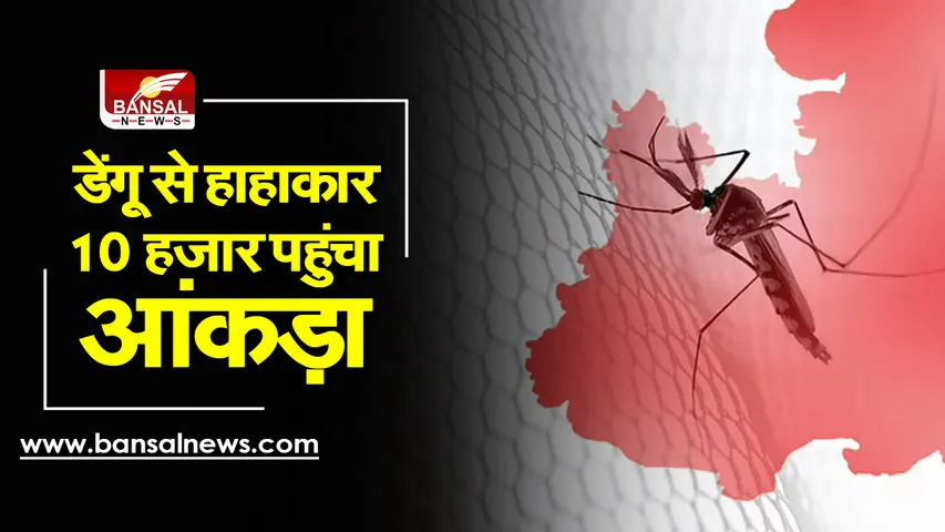 Dengue : 2015 के बाद डेंगू का सबसे बड़ा आकंडा, 10 हजार पहुंचे प्रदेश में मरीज