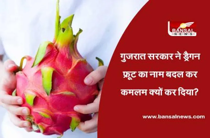 Dragon Fruit: किस देश का है ड्रैगन फ्रूट,  जिसका नाम बदलकर गुजरात सरकार ने 'कमलम' रख दिया है