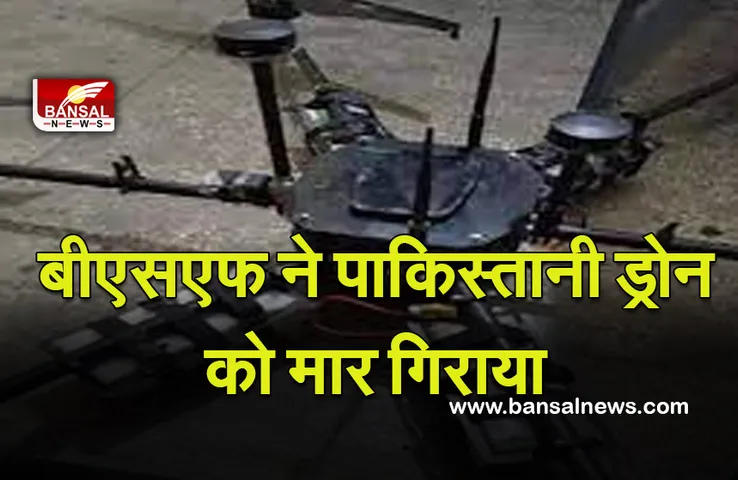 बीएसएफ ने पाकिस्तानी ड्रोन को मार गिराया