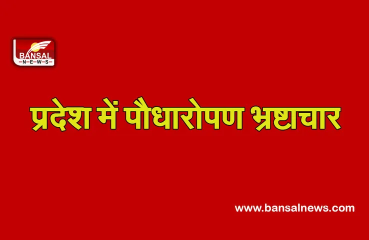 MP News: पौधारोपण को लेकर भ्रष्टाचार, घूसखोरी के आरोप में सरकारी प्राचार्य और क्लर्क के खिलाफ मामला दर्ज