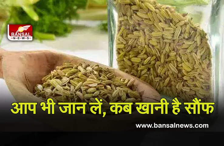 Green Fennel Benefits : क्या आपको पता है, कब खाना चाहिए सौंफ, इस समय सेवन करने से होगा फायदा