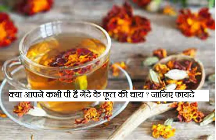 Health: गेंदे के फूल की चाय से रहेंगे तरोताजा, कई गुणों से है भरपूर