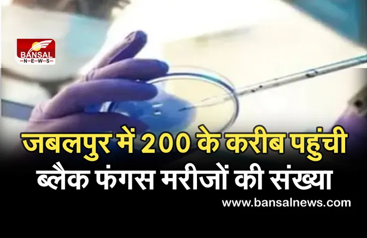 Black Fungus: ब्लैक फंगस ले रहा लोगों की जान, जबलपुर में आठ लोगों की मौत...