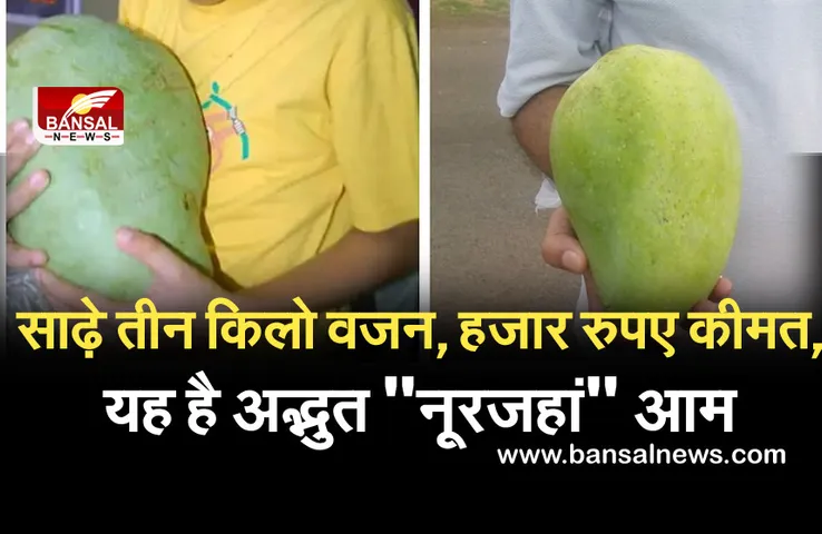 Breking News: साढ़े तीन किलो वजन, हजार रुपए कीमत, प्रदेश के इस जिले में होता है अद्भुत 