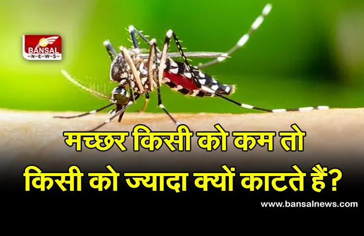 कई लोगों को मच्छर ज्यादा क्यों काटते हैं? जानिए इसके पीछे का वैज्ञानिक कारण
