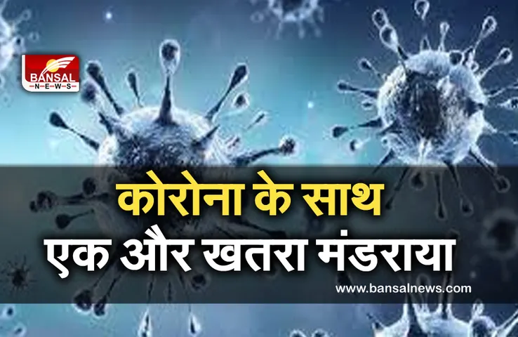 Breaking News: कोरोना के साथ मंडरा रहा एक और बड़ा खतरा, बालाघट में साइबेरियन पक्षियों की हो रही मौत