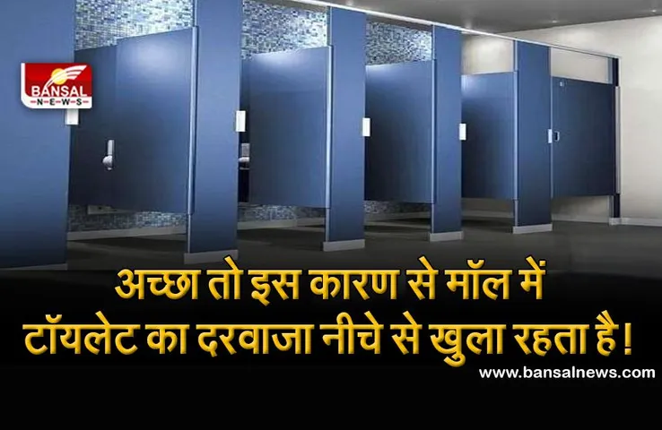 मॉल या मल्टीप्लेक्स में टॉयलेट का दरवाजा नीचे से क्यों खुला रहता है? जानिए इसके पीछे की वजह