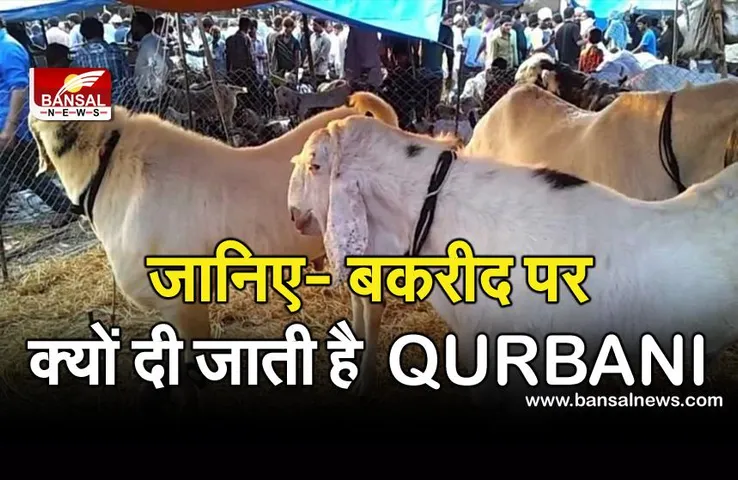 Eid-ul-Adha 2021: जानिए- बकरीद पर क्यों दी जाती है कुर्बानी और कब से इसे मनाने की शुरुआत हुई?