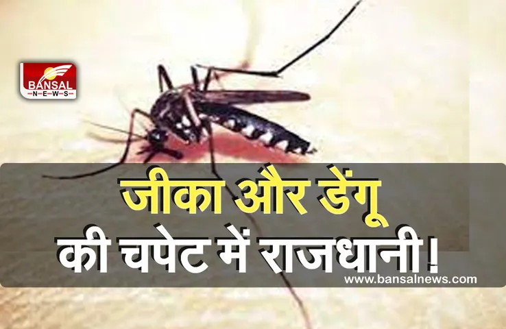 Breaking News: कोरोना के बाद राजधानी में बढ़ा डेंगू और जीका का खतरा! 103 घरों से मिला लारवा