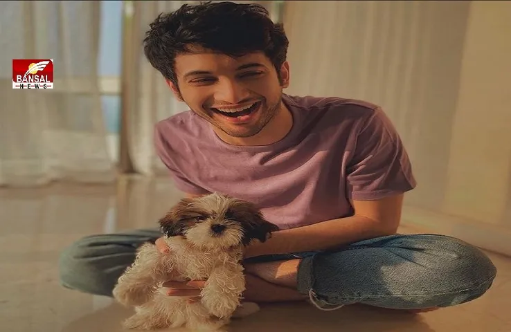 Rohit Saraf:' फील लाइक इश्क' में नजर आएंगे अभिनेता रोहित सराफ, सीरीज ‘मिसमैच्ड’ से हुए हैं फेमस