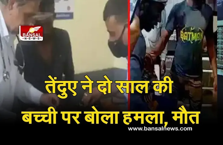 Dhar News: दो साल की बच्ची को लेकर भागा तेंदुआ, घरवालों ने पत्थर मारकर छुड़ाया, इलाज के दौरान तोड़ा दम