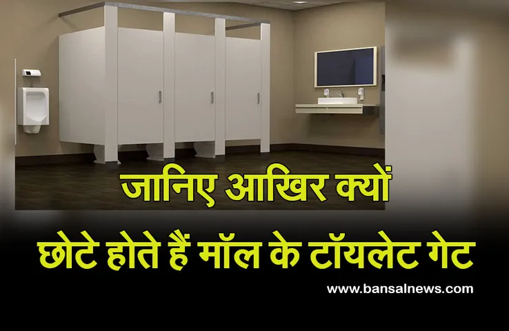 Toilet in Mall : आखिर क्यों नीचे से कटे होते हैं मॉल के टॉयलेट के गेट, जान लीजिए इसके पीछे की वजह