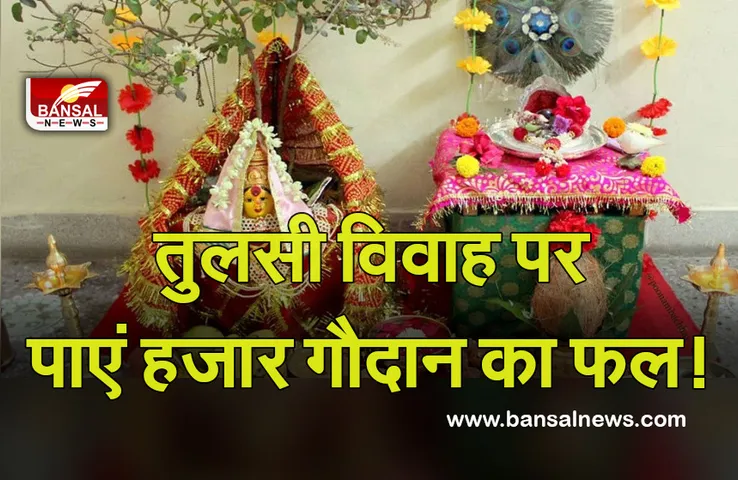 Tulsi Vivah Puja Muhurat : तुलसी विवाह पर जरूर करें ये काम, जानें मुहूर्त व महत्व