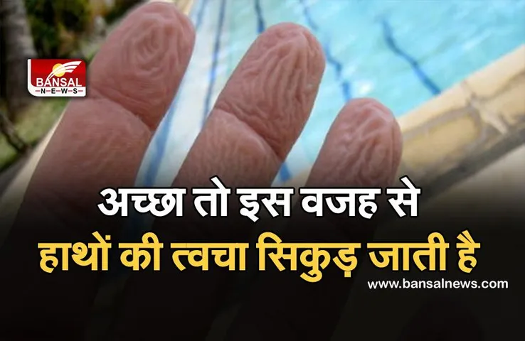 लंबे समय तक पानी में रहने के बाद हाथों और पैरों की त्वचा क्यों सिकुड़ जाती है? जानिए इसके पीछे की वजह