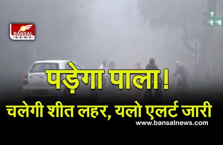 Weather Update : पड़ेगा पाला! चलेगी शीत लहर, मौसम विभाग ने जारी किया यलो एलर्ट, किसान रहें सतर्क