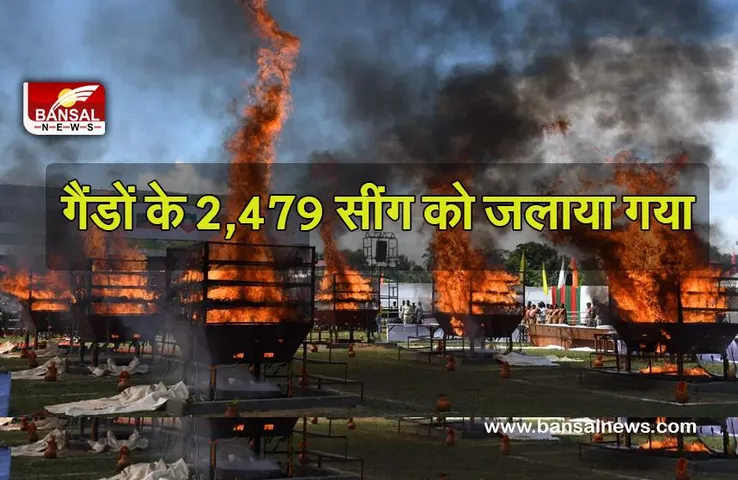 गैंडों के 2,479 सींग को जलाया गया, जानिए क्या है मामला