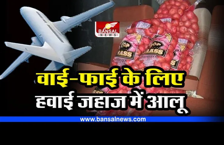 हवाई जहाज में वाई-फाई के लिए होता है आलू का इस्तेमाल