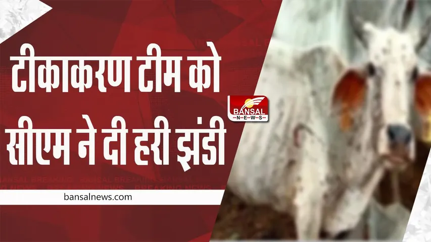 MP News: लंपी वायरस टीकाकरण टीम को सीएम ने दिखाई हरी झंडी