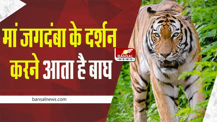 Shardiya Navratri: मां जगदंबा के दर्शन करने यहां आज भी आता है बाघ