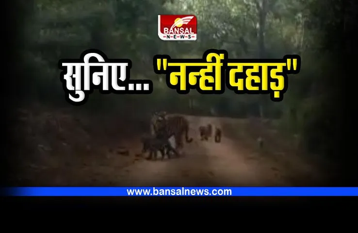 बाघिन डीजे-टी-27 के 