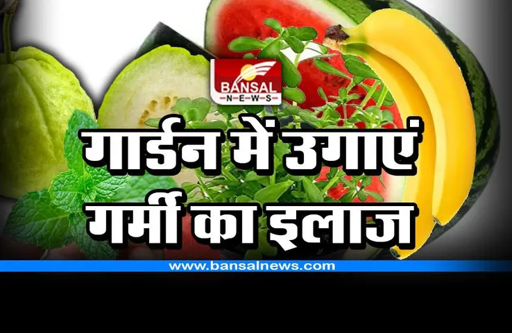 यह है गर्मी के लिए सबसे ठंडा फल और जड़ी बूटी, गार्डन में जरूर लगा लें