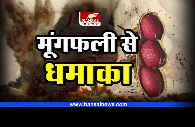 Interesting Fact : मूंगफली में धमाका करने का गुण, बन जाता है डायनामाइट